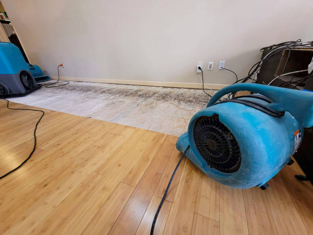 Professional Ceiling Water Damage Repair technician working in Lake Hiawatha, NJ
